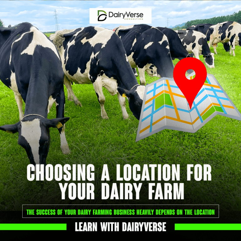 Choosing a Location for Your Dairy Farm