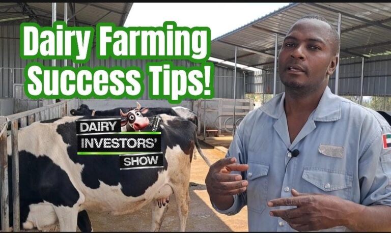Do not fear anything, dairy farming is extremely profitable!