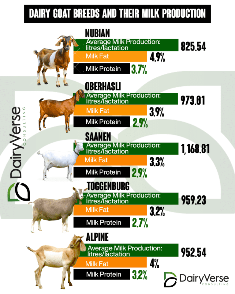A Guide to Dairy Goat Breeds and Health