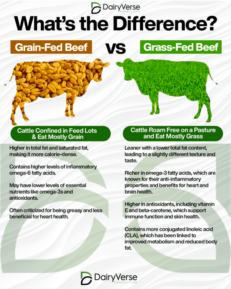 Grass-Fed vs. Grain-Fed Beef: What’s the Difference?