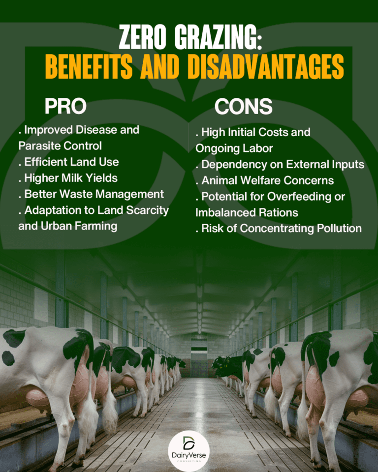 Zero Grazing: Benefits and Disadvantages