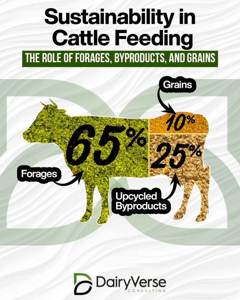 Sustainability in Cattle Feeding: The Role of Forages, Byproducts, and Grains