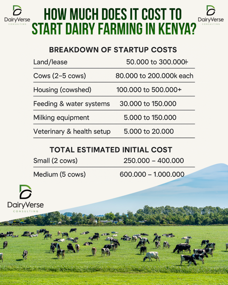 How Much Does It Cost to Start Dairy Farming in Kenya?