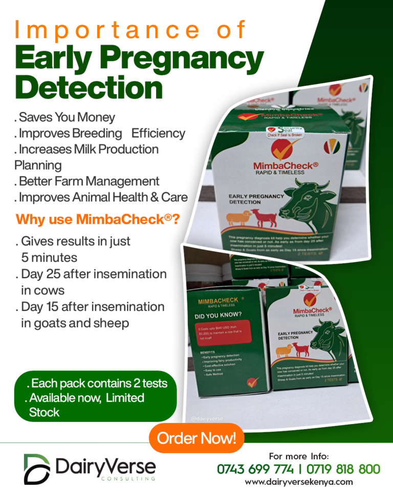 Benefits of Early Pregnancy Detection in Dairy cows, sheep & Goat.