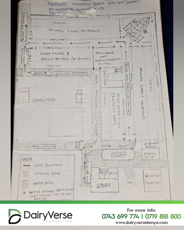 Cattle Shed Floor Plan for a scalable dairy cow barn, Smart, Simple & Efficient.