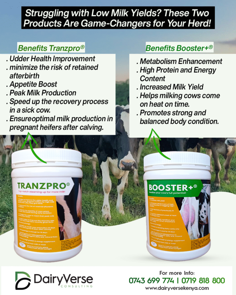 Powerful products that help your cows stay healthy and produce more milk.