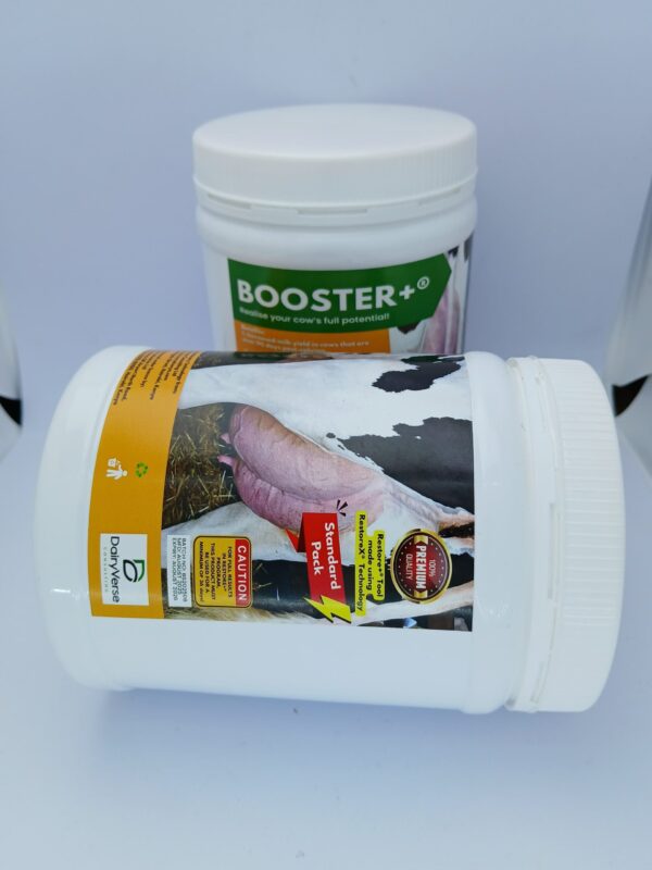Booster+ High Energy Dairy Supplement 0.9kg Standard Pack 18 Day Supply