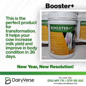 Booster+ packaging, a high energy supplement for dairy cows to prevent ketosis and boost milk production.