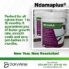Ndamaplus 3-in-1 Calf Growth Accelerator to stop Kudumaa and pot-bellies in dairy calves.