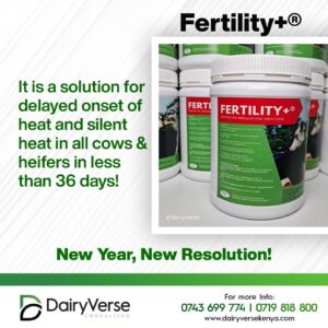 Fertility+ Supplement packet to cure Silent Heat and Joto Baridi in dairy cows
