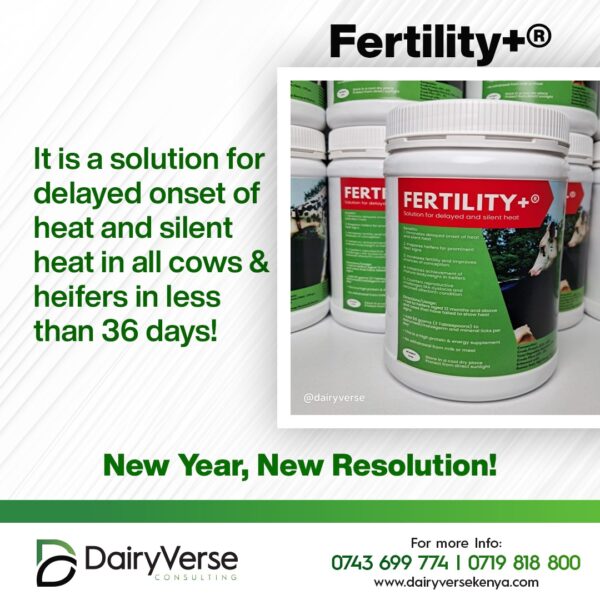 Fertility+ Supplement packet to cure Silent Heat and Joto Baridi in dairy cows