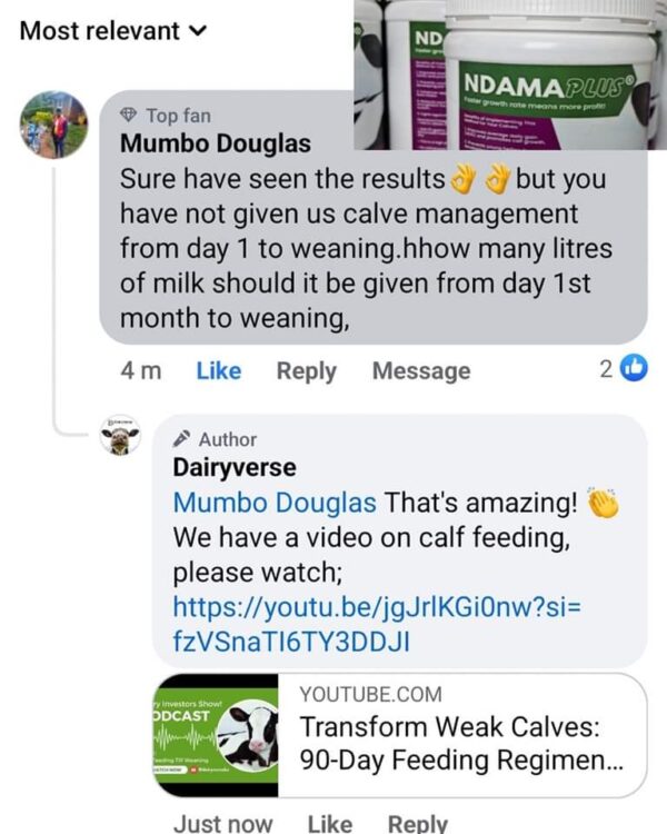 Screenshot of a Facebook interaction where Dairyverse provides a link to a YouTube video titled "Transform Weak Calves: 90-Day Feeding Regimen."