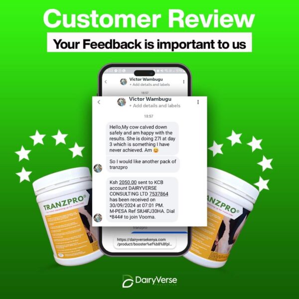 Dairy farmer review of Tranzpro Steaming Up Formula showing 27 Litres milk peak results