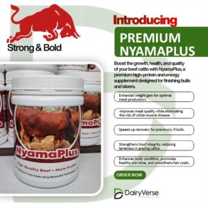 Premium Nyamaplus® Beef Fattening Concentrate tub with key benefits for finishing bulls and steers by Dairyverse.