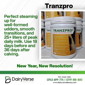 Tranzpro Steaming Up Formula for Udder Development and Milk Fever Prevention