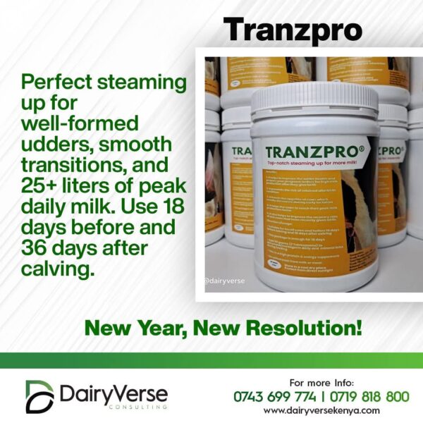 Tranzpro Steaming Up Formula for Udder Development and Milk Fever Prevention