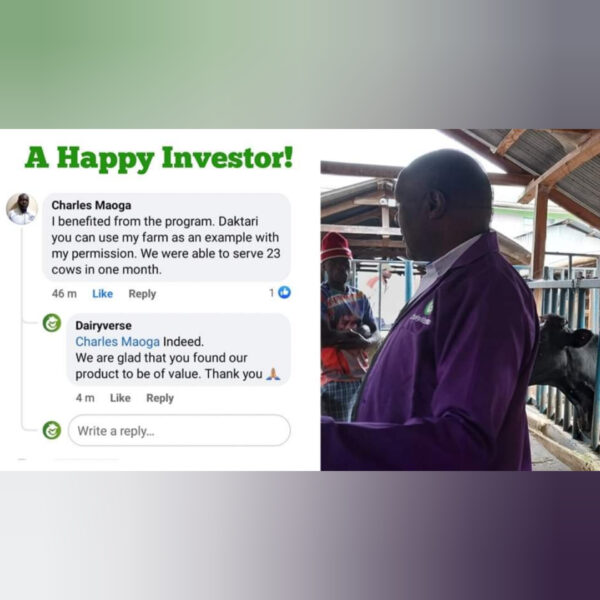 Mr Charles Maoga Nyamira farmer testimonial 23 cows showed heat signs using Fertility+ to cure Silent Heat